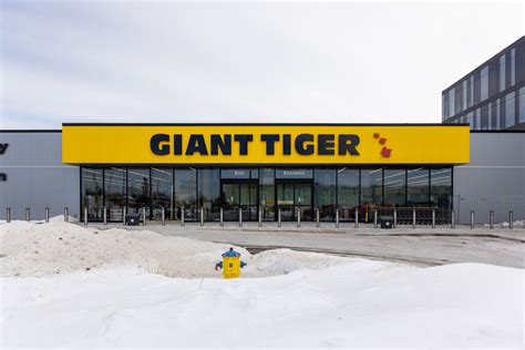 giant tirger